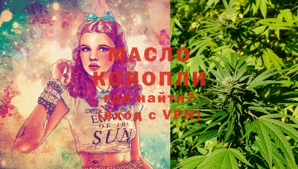 сатива Абинск