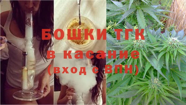 сатива Абинск