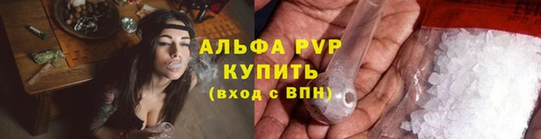 гашик Абаза
