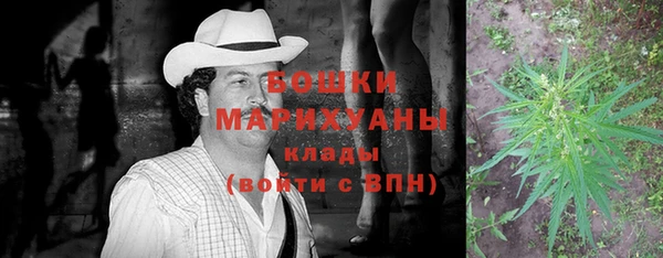 сатива Абинск