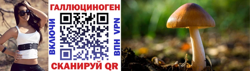 наркошоп  Полевской  Галлюциногенные грибы Magic Shrooms 